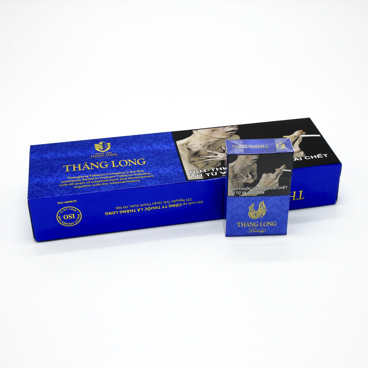 黄A无码片内射无码视频