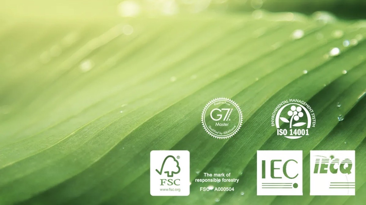 黄A无码片内射无码视频