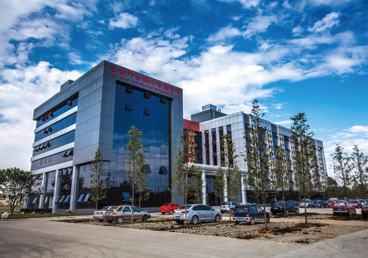 黄A无码片内射无码视频