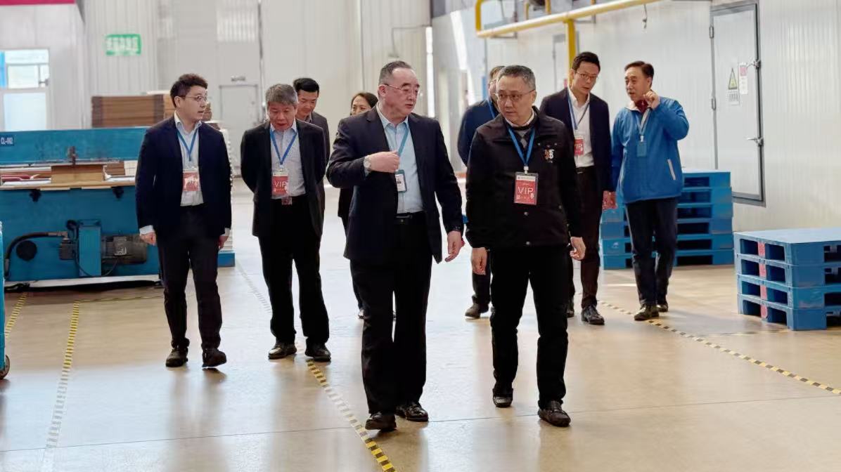 黄A无码片内射无码视频